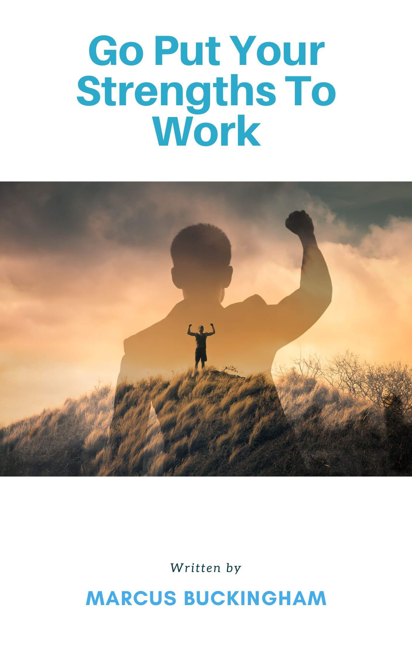 Go Put Your Strengths to Work book summary
