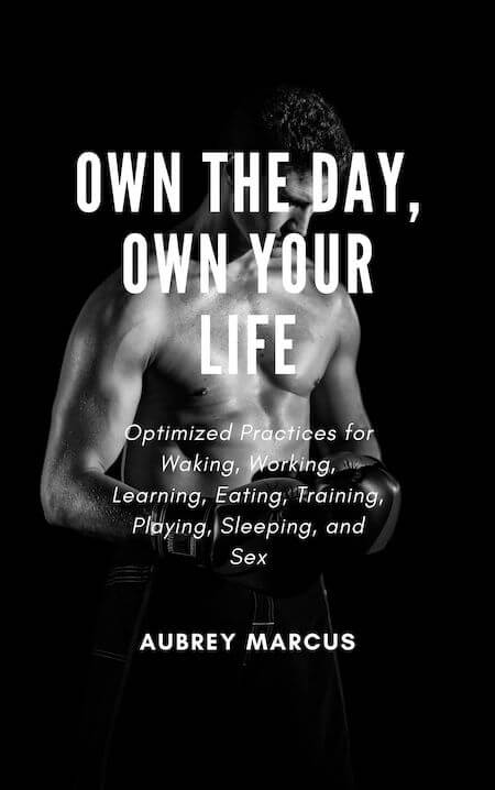 Own the Day, Own Your Life book summary