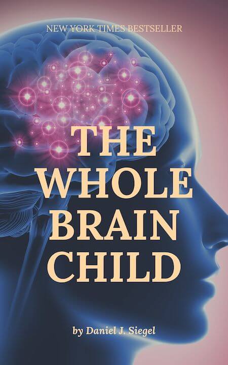 The Whole Brain Child book summary