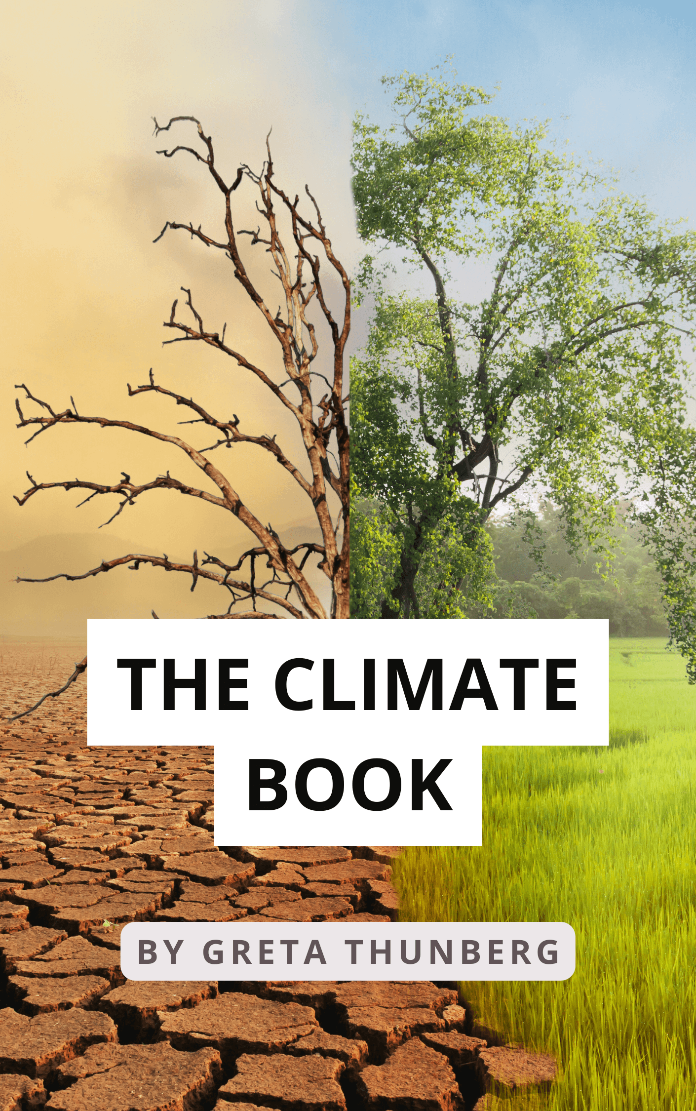 The Climate Book book summary