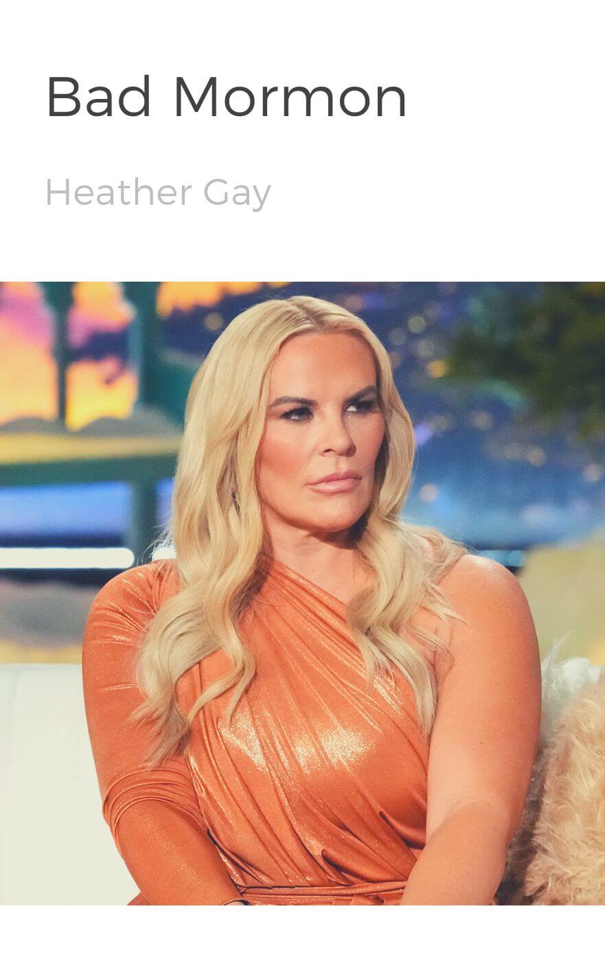 Bad Mormon book summary