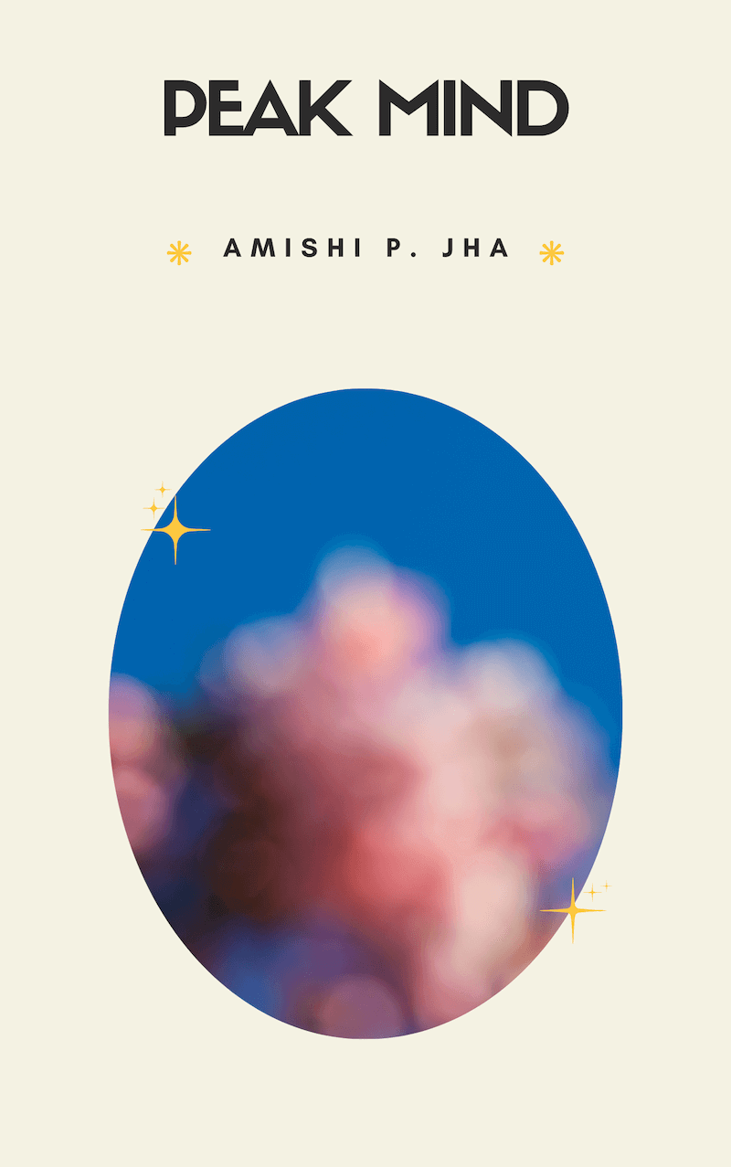 Peak Mind book summary