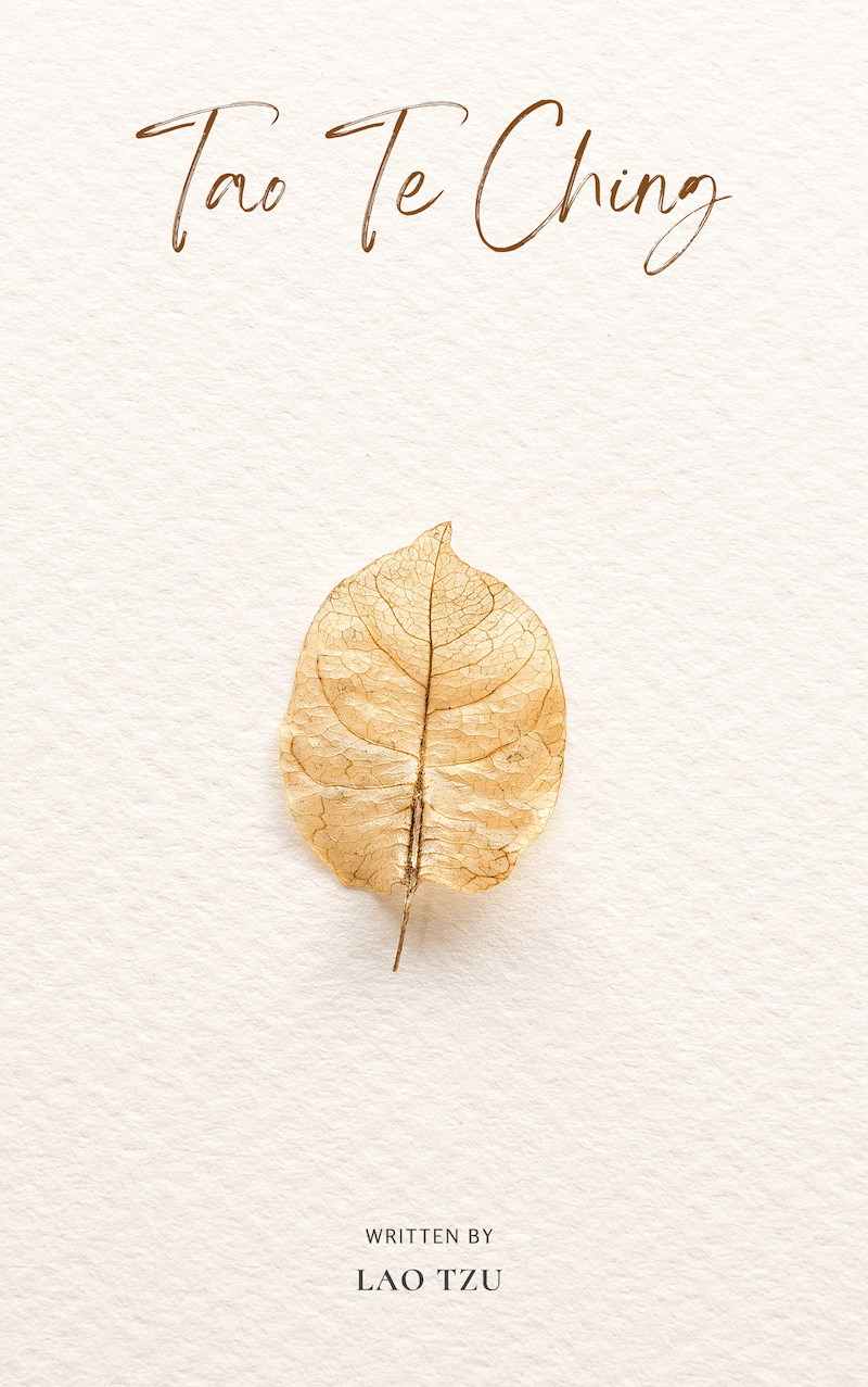 Tao Te Ching book summary