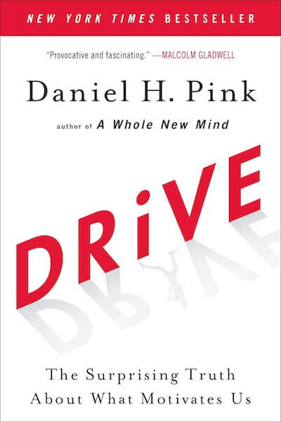 Drive book summary